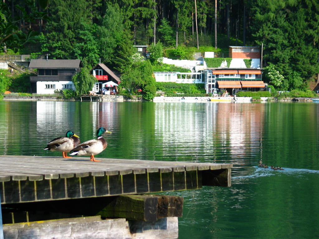 Villa Mayr Филах Екстериор снимка